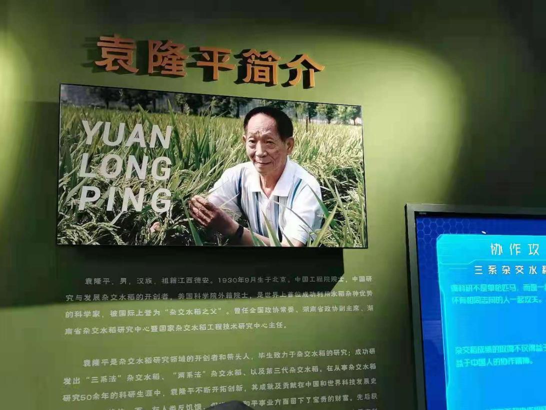 天美传媒
师生悼念袁隆平院士：巨星陨落，精神长存！